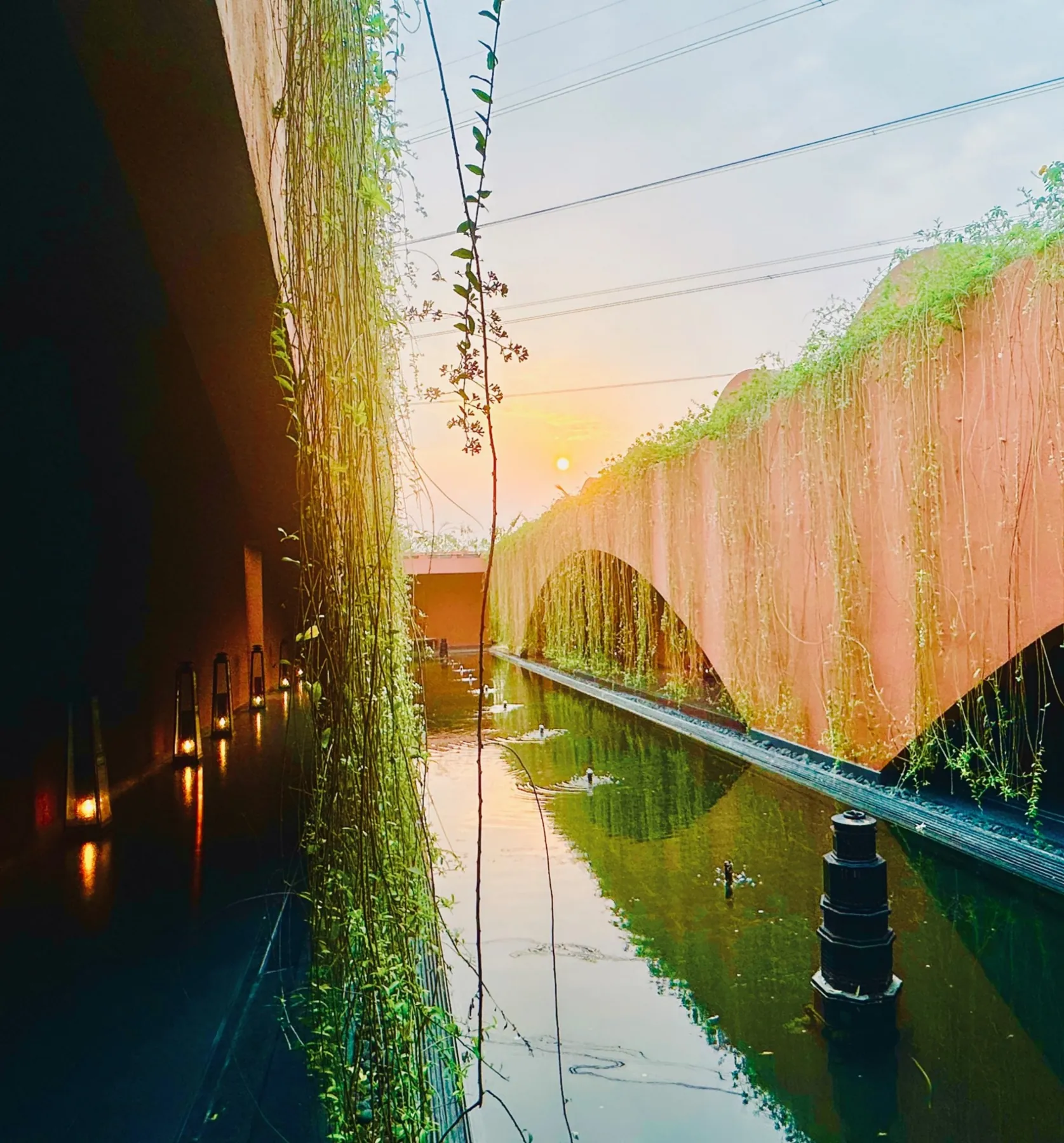 Water corridor and arched wall softened by cascading greenery at Devasom