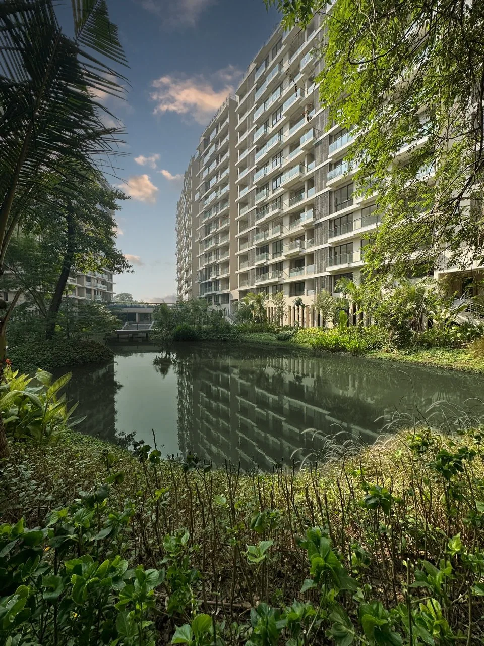 Jiva Homes reflected in the lake through palms and dense waterside planting